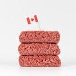 How Big is the Meat Industry in Canada? (The 2022 edition)